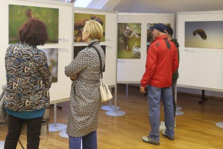 OTVORITEV RAZSTAVE ZORANA VIDRIHA 01 FOTO LJUBO VUKELIČ